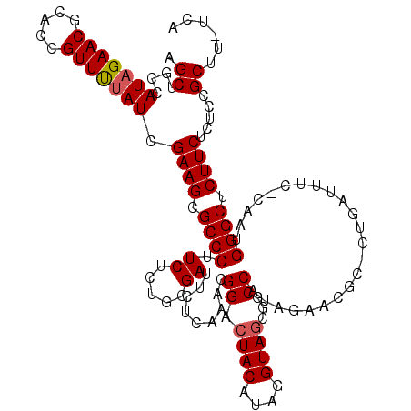 secondary structure