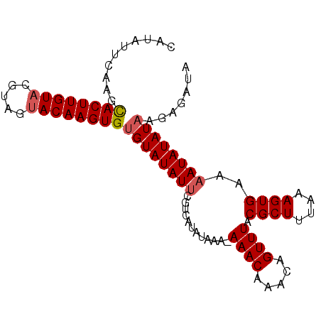 secondary structure