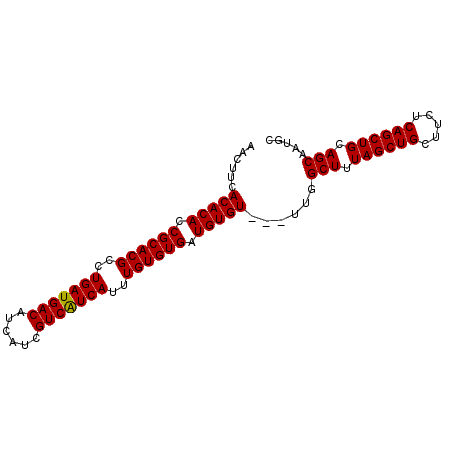 secondary structure