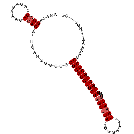 secondary structure