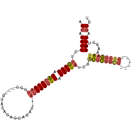 secondary structure