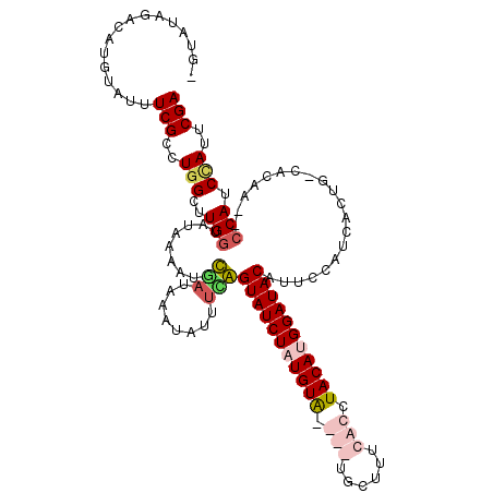 secondary structure
