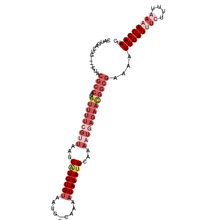 secondary structure