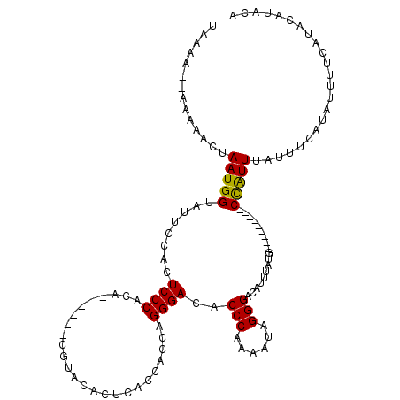 secondary structure