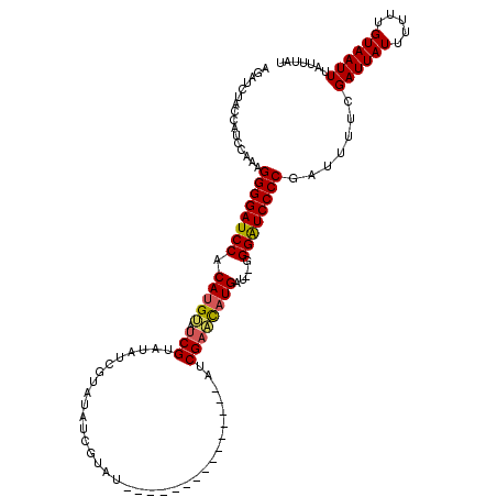 secondary structure