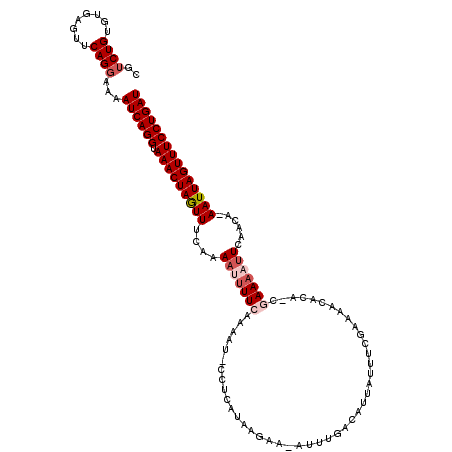 secondary structure