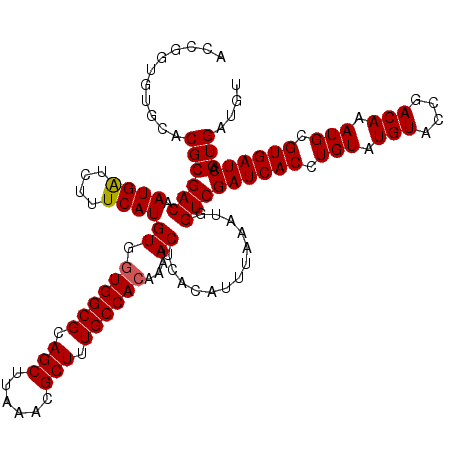 secondary structure
