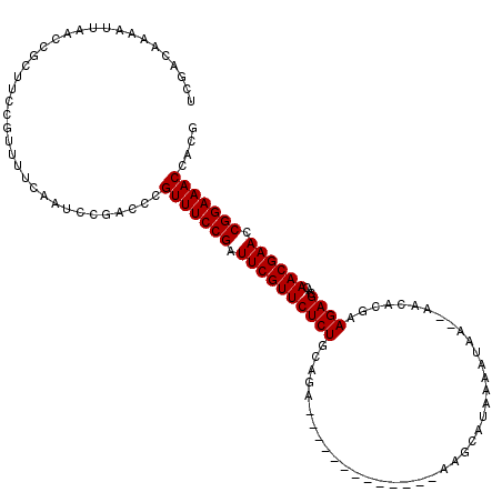 secondary structure