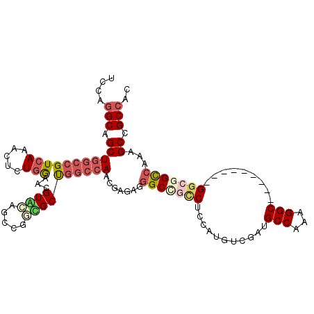 secondary structure