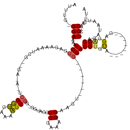 secondary structure