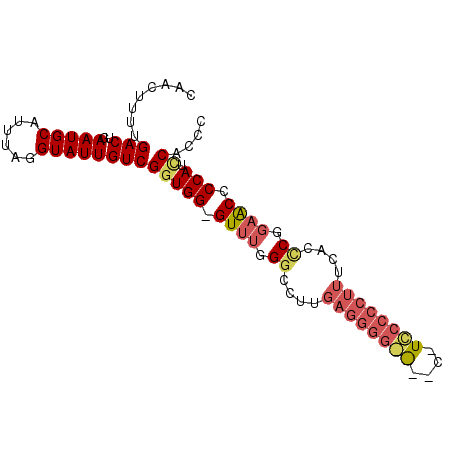 secondary structure