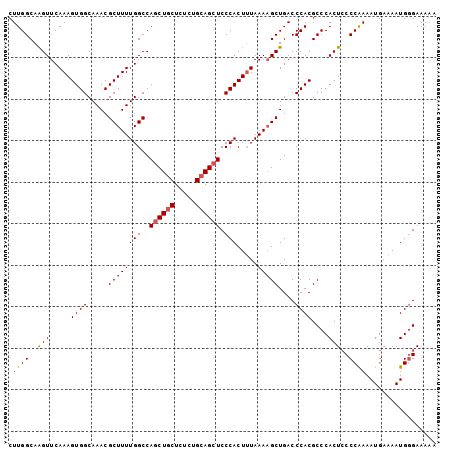 dotplot