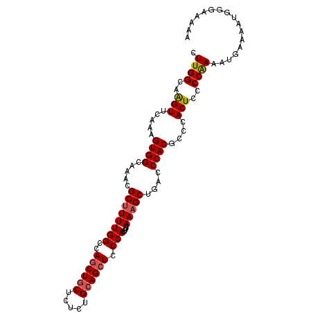 secondary structure