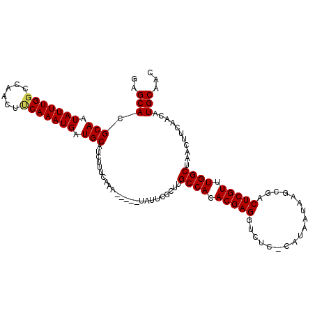 secondary structure
