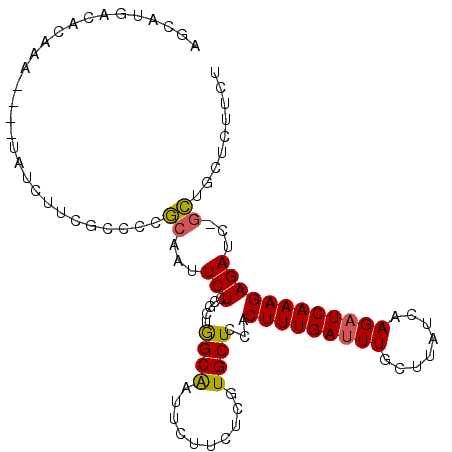 secondary structure