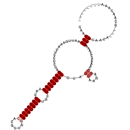 secondary structure
