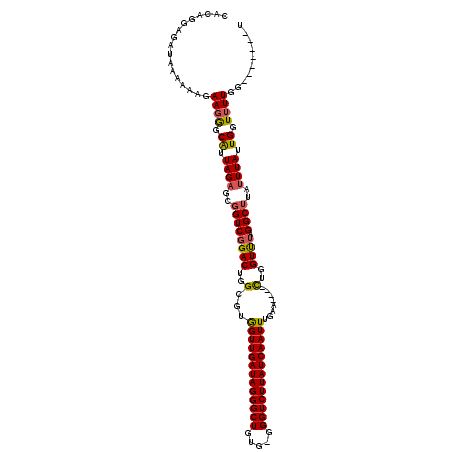 secondary structure