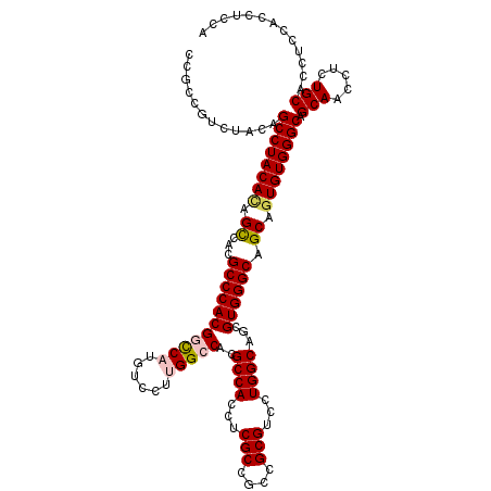 secondary structure