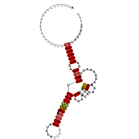 secondary structure