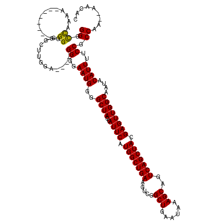 secondary structure