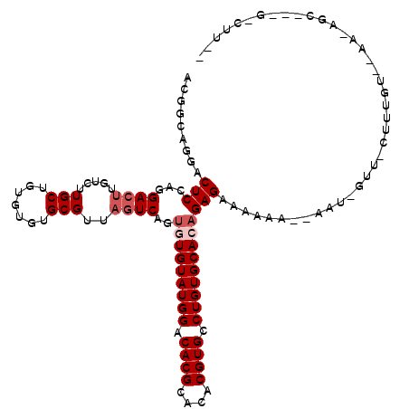 secondary structure