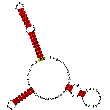 secondary structure