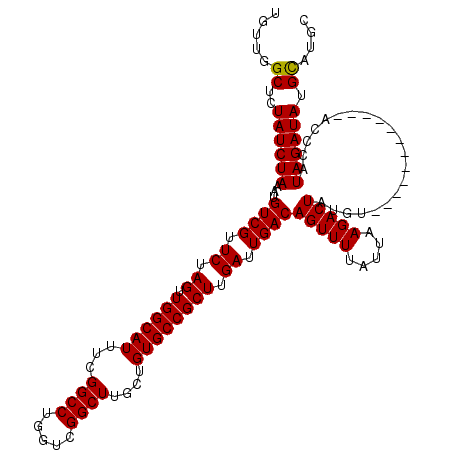 secondary structure