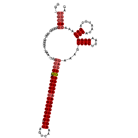 secondary structure