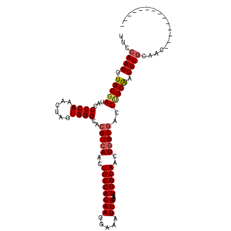 secondary structure