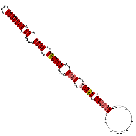 secondary structure