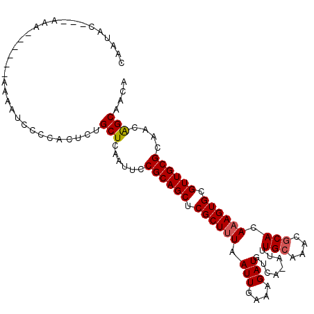 secondary structure