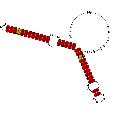secondary structure