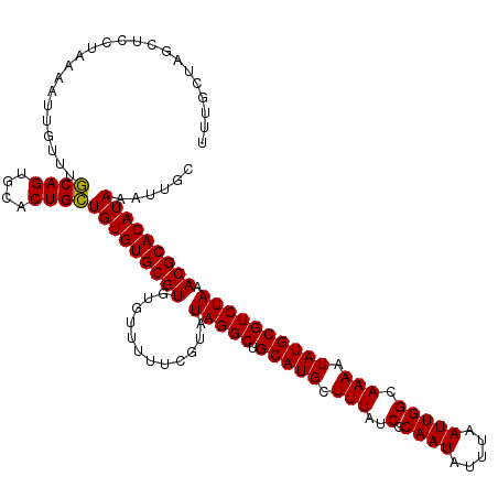 secondary structure