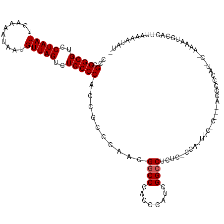 secondary structure