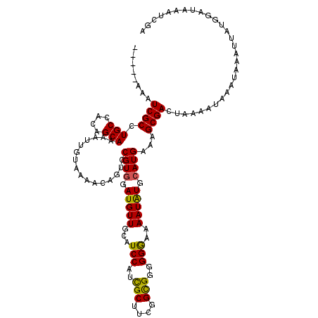 secondary structure