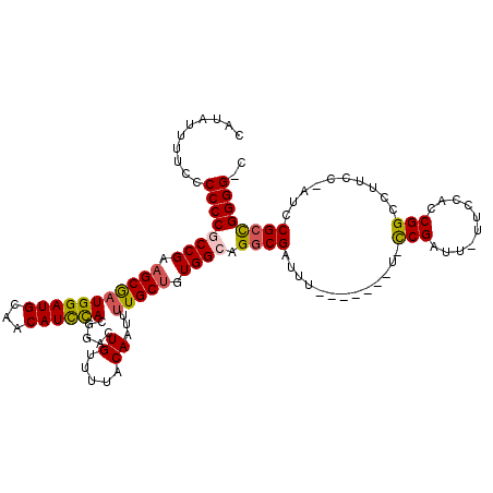 secondary structure