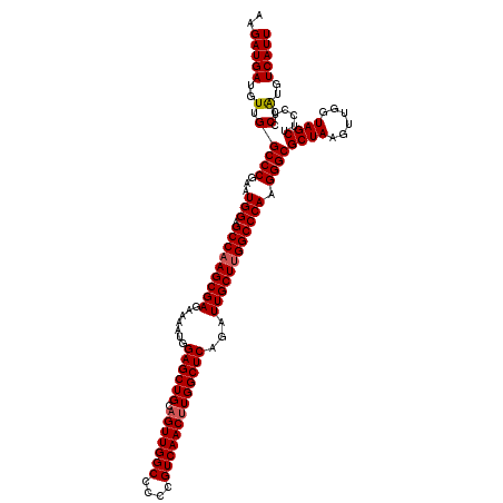 secondary structure