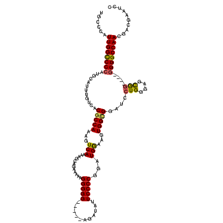 secondary structure