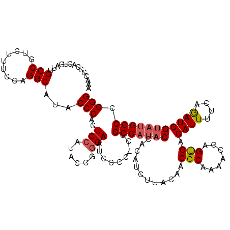 secondary structure