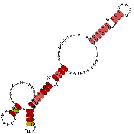 secondary structure
