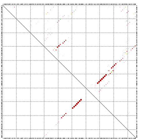 dotplot