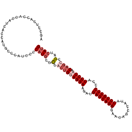 secondary structure