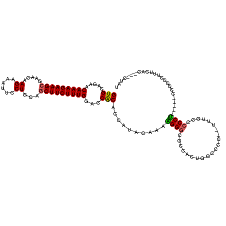 secondary structure