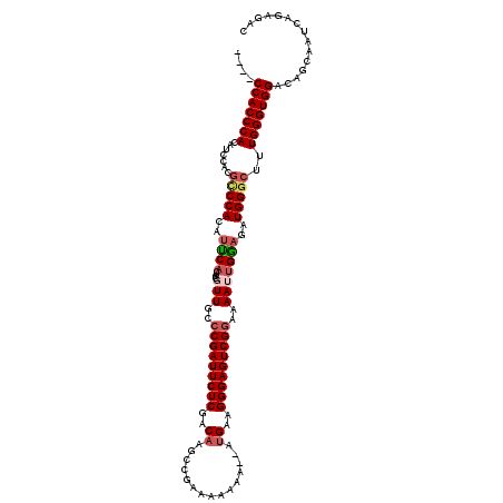 secondary structure
