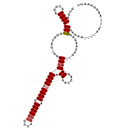 secondary structure