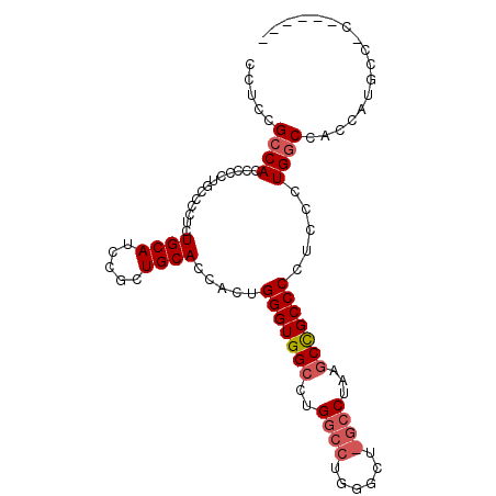 secondary structure