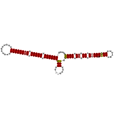 secondary structure