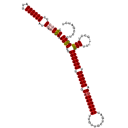 secondary structure