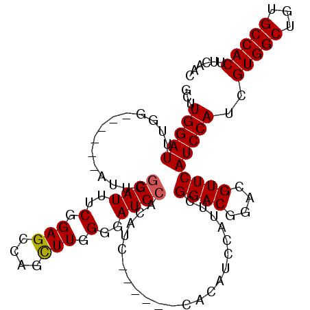 secondary structure