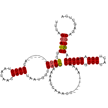 secondary structure